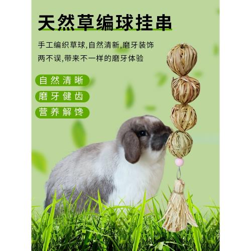 草月餅串 寵物兔兔子龍貓荷蘭豬零食果樹枝磨牙串愛吃食物赫爾達