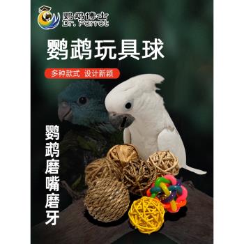 中大型鸚鵡玩具鳥啃咬磨牙磨嘴藤球鸚鵡腳下玩具球寵物鳥用品用具