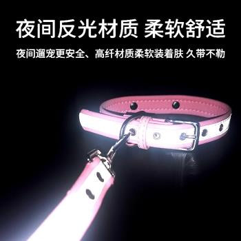 狗狗項圈刻字防丟小型犬泰迪狗圈反光貓咪脖圈狗牌邊牧貓牌牽引繩