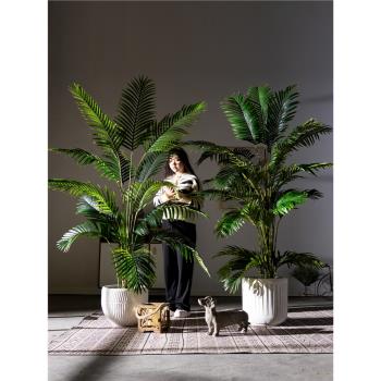大型高端輕奢散尾葵仿真綠植仿生假樹鳳尾竹植物室內熱帶造景裝飾