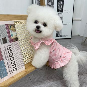 狗狗寵物衣服夏季吊帶茶杯犬比熊泰迪狗小狗貓咪公主背心可愛粉色
