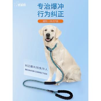 狗P繩訓練專業大中小幼型犬遛狗防爆沖牽引繩子寵物金毛項圈P字鏈