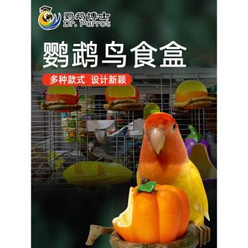 虎皮玄鳳鸚鵡鳥食盒防撒防濺鸚鵡自動餵食器防撒喂鳥飲水器下料器