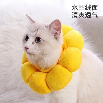 新疆太陽花充棉寵物清潔甜甜圈