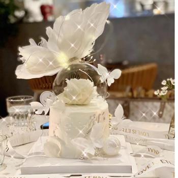 小紅書同款夢幻白色羽毛蝴蝶蛋糕裝飾品擺件生日派對鐵絲蝴蝶插件