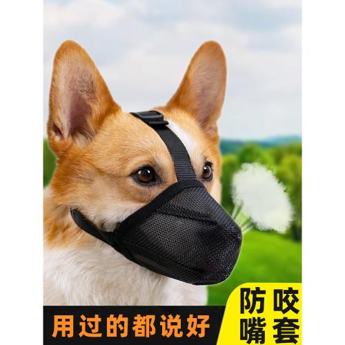狗狗嘴套防咬口罩防亂吃小型犬中型犬柯基專用寵物防叫嘴巴套嘴罩
