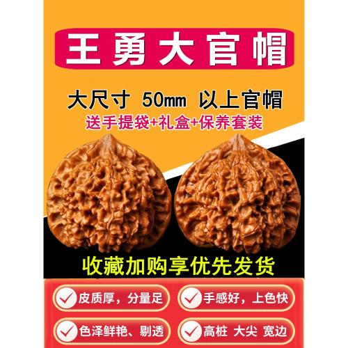 文玩核桃手玩50mm王勇官帽核桃特大男士盤玩手把件核桃把玩麒麟紋