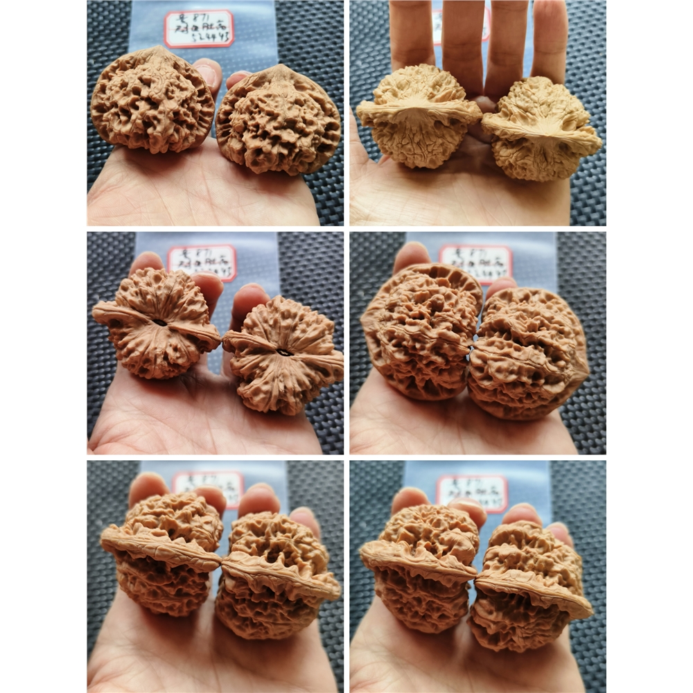 文玩核桃特大尺寸50矮樁麒麟紋官帽王勇高樁精品53一物一圖收藏級|小眾