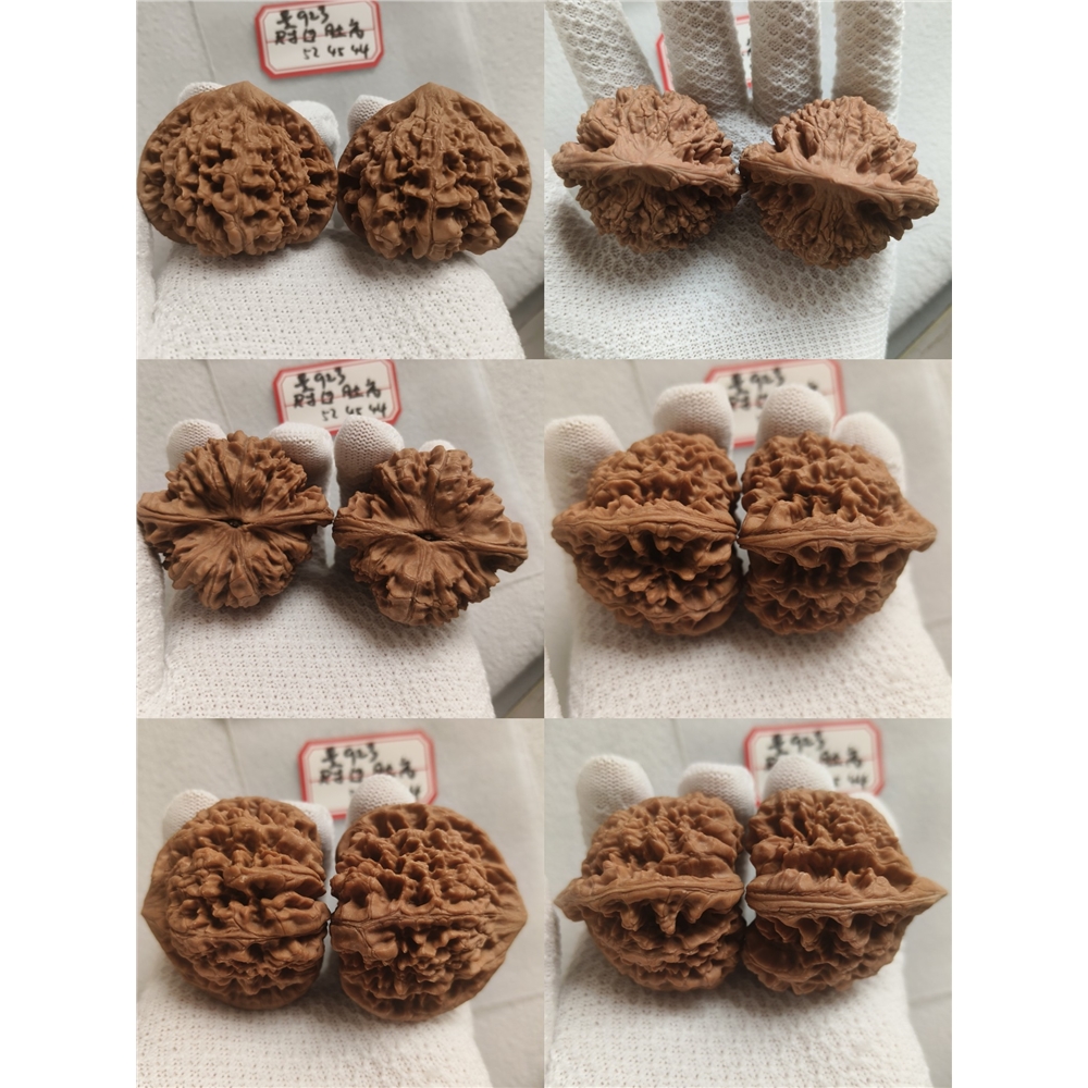 文玩核桃特大矮樁麒麟紋官帽王勇高樁精品一物一圖虎頭滿天星宮燈|小眾