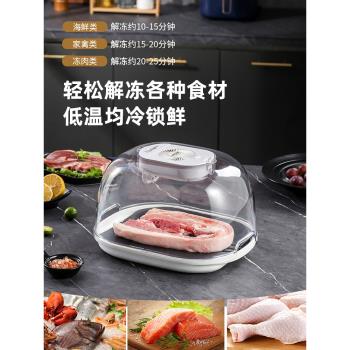 恒溫解凍神器家用食物緩肉解凍器盤板快速化解凍肉廚房保鮮解凍器