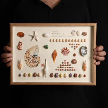 天然貝殼標本海螺相框diy手工裝裱制作展示擺臺家居裝飾立體掛畫