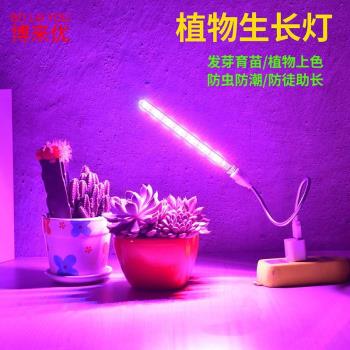 New USBled plant lamp growth lamp indoor fill light flower p