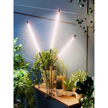 LED植物生長補光燈全光譜家用室內多肉上色防徒長微景觀定時遙控