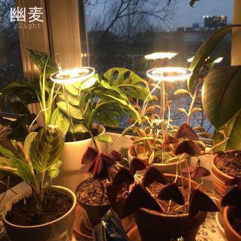 幽麥led植物生長補光燈全光譜usb食蟲植物多肉補光燈發財樹水藻補