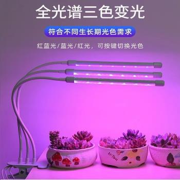 LED Full Spectrum Phyto Lamp USB 5V Grow Light Strip 0.5m 1m
