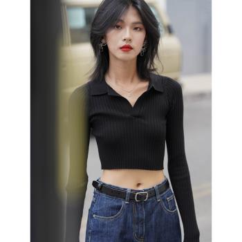 韓國v領針織衫女短款2023新款設計感小眾高腰顯瘦修身長袖t恤上衣