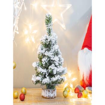 白色圣誕節裝飾品DIY迷你雪松針小圣誕樹ins桌面櫥窗擺件雪花加密