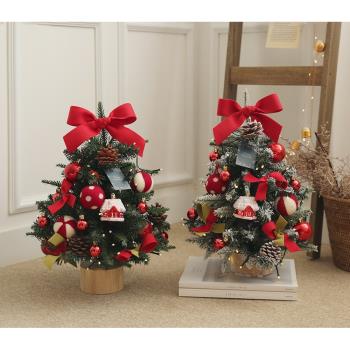 小型圣誕樹擺件ins風仿真樹加密套餐迷你DIY圣誕節裝飾品家用桌面