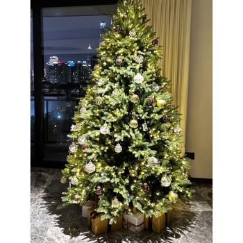 超密豪華純PE圣誕樹 暖光LED發光加肥圣誕樹仿真框架圣誕節樹大型