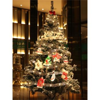 圣誕節裝飾品圣誕樹diy裝扮掛飾圣誕絲帶LED滿天星燈串禮物彩帶