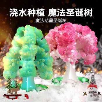 魔法圣誕樹澆水紙樹開花生長結晶兒童玩具科學實驗套裝圣誕節禮物