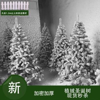 圣誕節圣誕樹白色植絨1.5米1.8米2.1米3米仿真噴雪松雪景冰雕裝飾