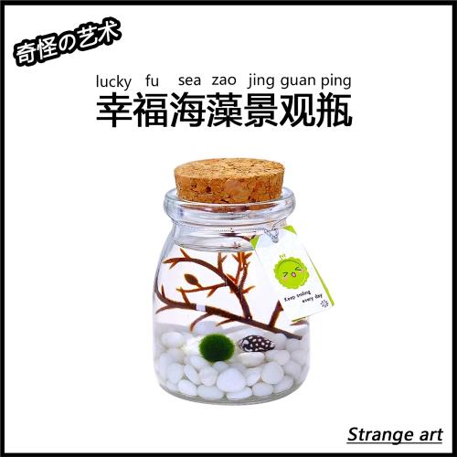 奇怪藝術幸福海藻球微景觀生態瓶情侶閨蜜創意節日禮物有意義特殊