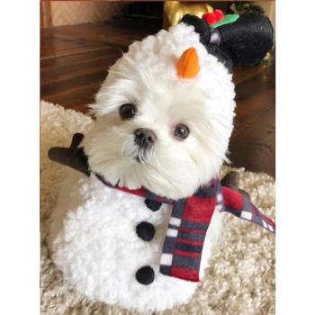 馬爾濟斯雪人衣服博美比熊泰迪搞怪搞笑寵物小狗狗貓咪圣誕節裝飾