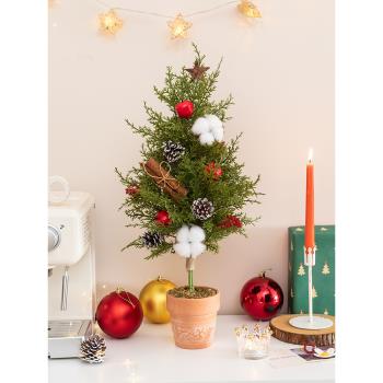 阿楹 桌面高級仿真諾貝松圣誕樹60cm小型松針盆栽燈裝飾2023新款