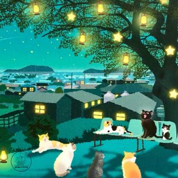 「SHUNA」旅貓四季風景C套裝日本原版可愛小貓插畫明信片單張現貨