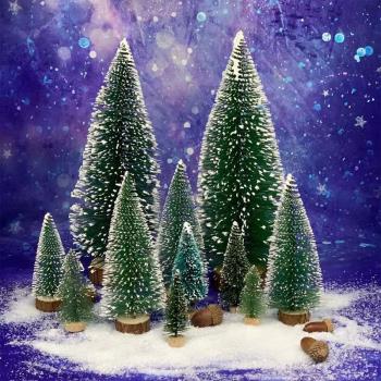 迷你圣誕樹盲盒圣誕造景仿真小松樹雪景道具裝飾原木底沾白雪松