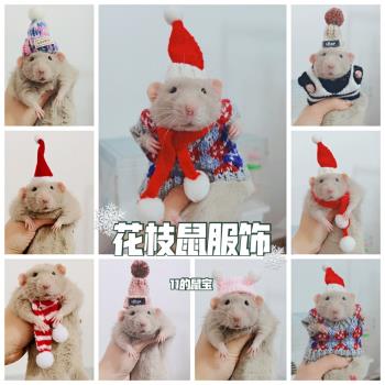 寵物帽子花枝鼠可愛衣服服飾兔子豚鼠龍貓倉鼠圣誕帽寵物拍照神器