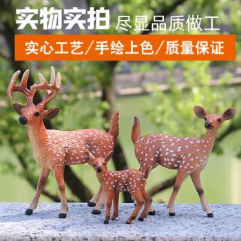 模擬動物梅花鹿模型玩具靜態聖誕麋鹿塑膠實心擺件兒童認知禮物