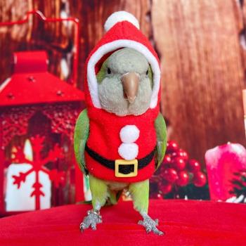 大中小型寵物鸚鵡鳥衣服保暖加絨加厚款棉襖棉服飛行服 圣誕用品