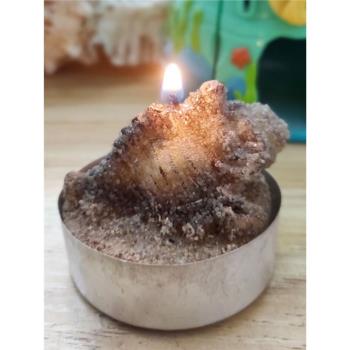 出口節日圣誕家居裝飾蠟燭烘焙生日蛋糕蠟燭沙灘海螺造型一只裝