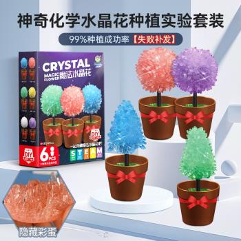 兒童種植水晶花聖誕樹3益智玩具6-12歲小學生女童男孩生日禮物