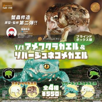 SO-TA日本正版散貨 仿真爬行動物模型 1:1短頭蛙 美洲夜光饅頭蛙