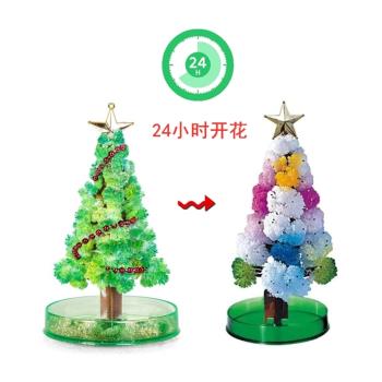 迷你圣誕樹紙樹開花澆水生長結晶魔法樹節日裝飾品兒童玩具小禮物