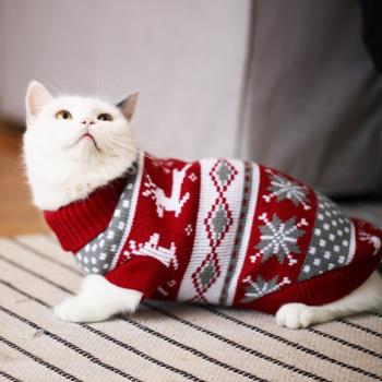 防掉毛英短寵物冬裝加厚圣誕貓咪