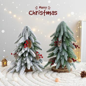 圣誕樹2023新款家用迷你圣誕樹ins風桌面圣誕樹落雪小型圣誕裝飾