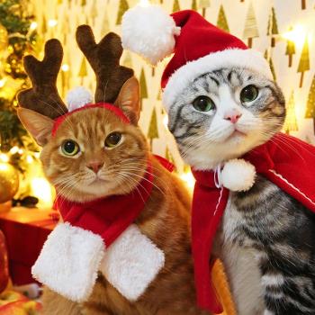 網紅貓咪帽子狗狗衣服幼犬發飾英短頭飾寵物服飾搞笑裝圣誕搞怪裝