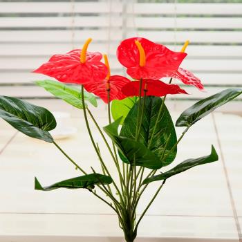 紅掌塑料客廳裝飾花卉仿真綠植
