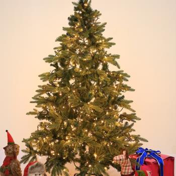 圣誕樹彩燈led燈串家用布置裝飾燈掛樹上道具閃燈戶外防水USB插電