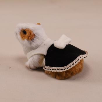 倉鼠連衣裙荷蘭豬衣服龍貓帽子侏儒兔圣誕帽花枝鼠裝松鼠蜜袋鼯帽