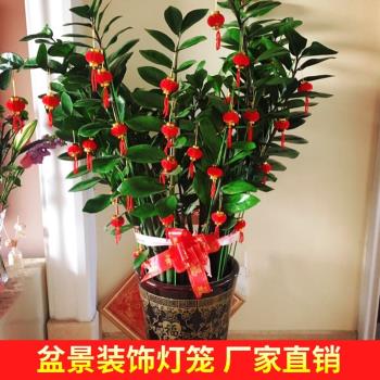 植絨小燈籠掛件裝飾門口大紅迷你掛飾喜慶戶外室內室外防水掛樹上