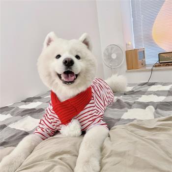寵物大狗衣服中大型犬秋冬服飾不加絨打底衫狗狗貓咪新年圍巾套裝