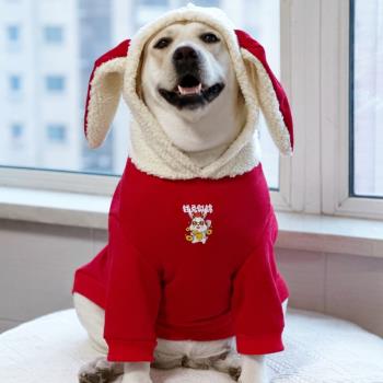 狗狗衣服大型犬新年保暖拉布拉多金毛衣服蛇年喜慶狗狗衣服加厚冬