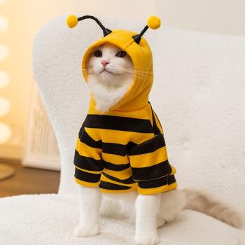秋冬季貓咪保暖可愛小蜜蜂變身裝衛衣狗狗兩腳寵物衣服布偶緬因貓