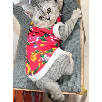 貓咪衣服冬季新年裝喜慶東北大花襖英短銀漸層幼貓博物加厚衣服
