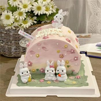 田園風蛋糕裝飾可愛樹脂小兔子擺件森系胡蘿卜女孩生日蛋糕插件
